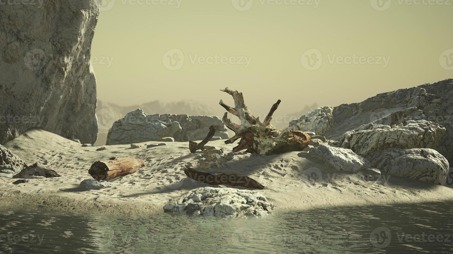 stone cliffs and broun sand at the ocean coastline photo