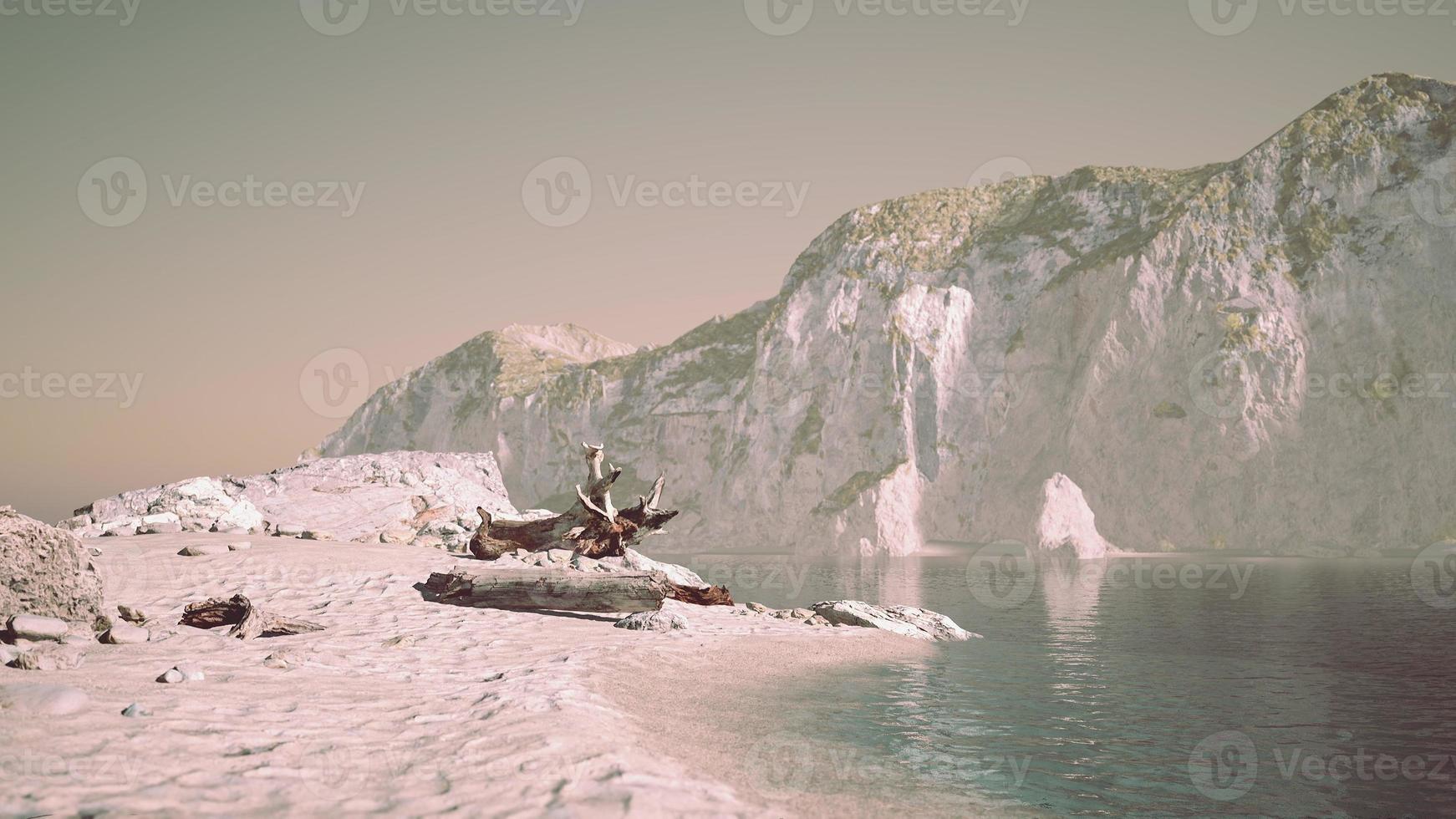 stone cliffs and broun sand at the ocean coastline photo