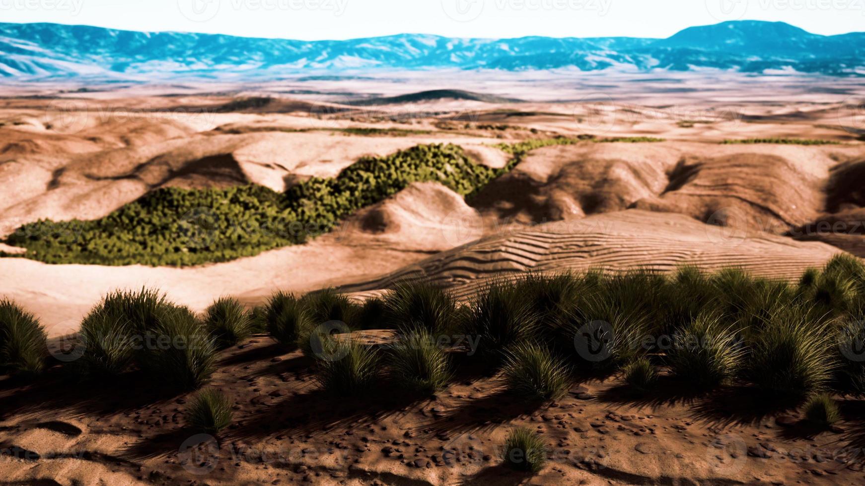 desert landscape in Crater National park photo