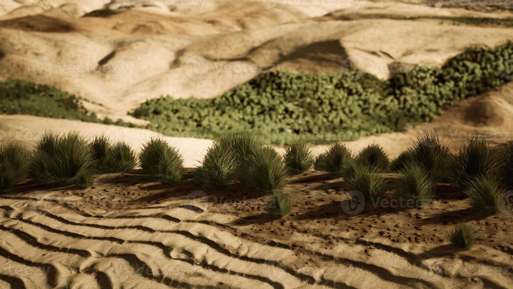 paisaje desértico en el parque nacional del cráter foto