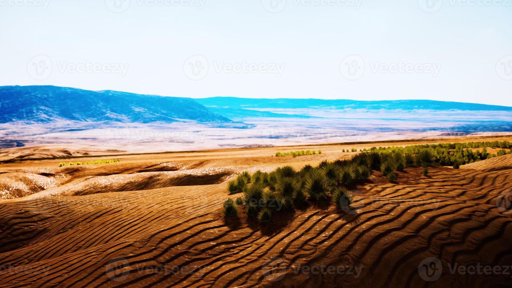 desierto pedregoso en el interior de australia foto