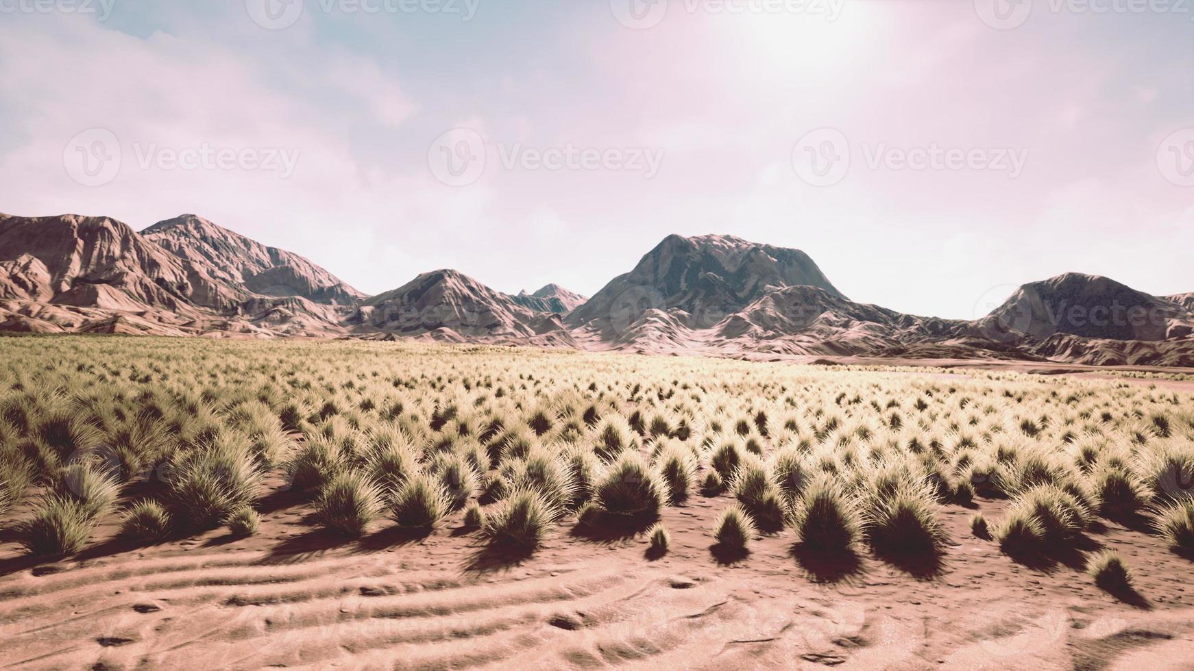 Beautiful yellow orange sand dune in desert in middle Asia photo