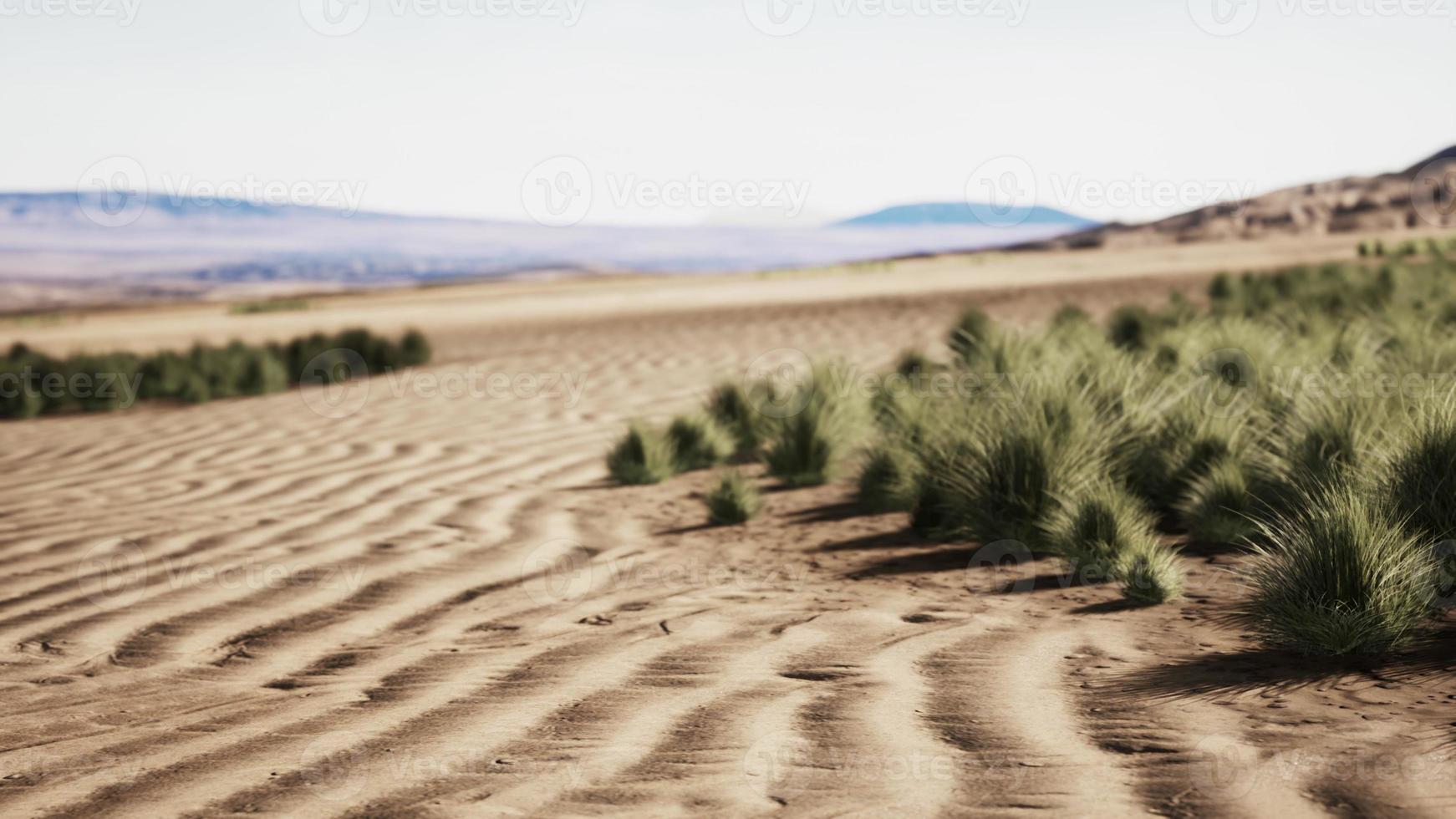 Stoney desert in outback Australia photo