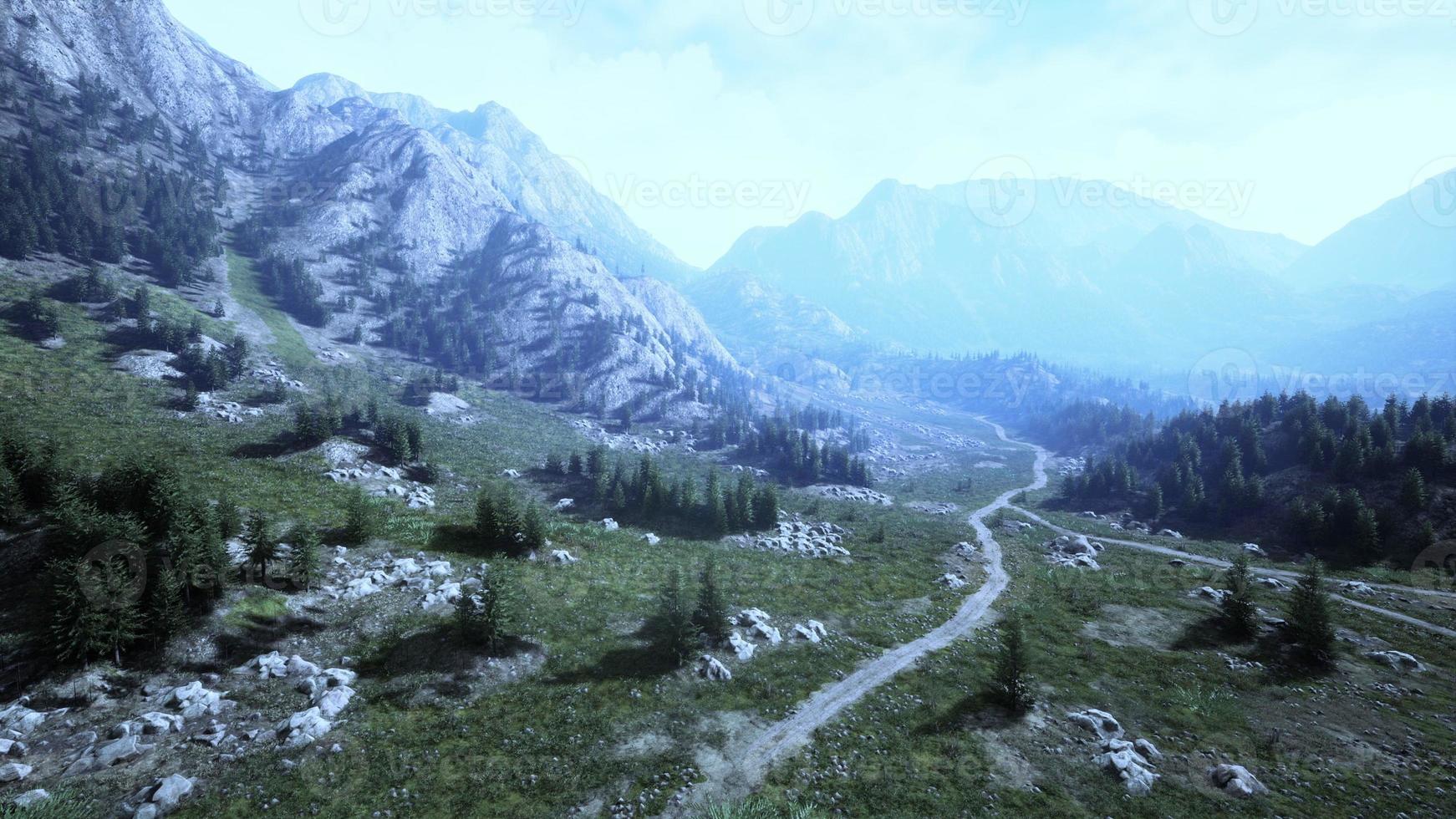 Aerial top view of summer green trees in forest in Swiss Alps photo