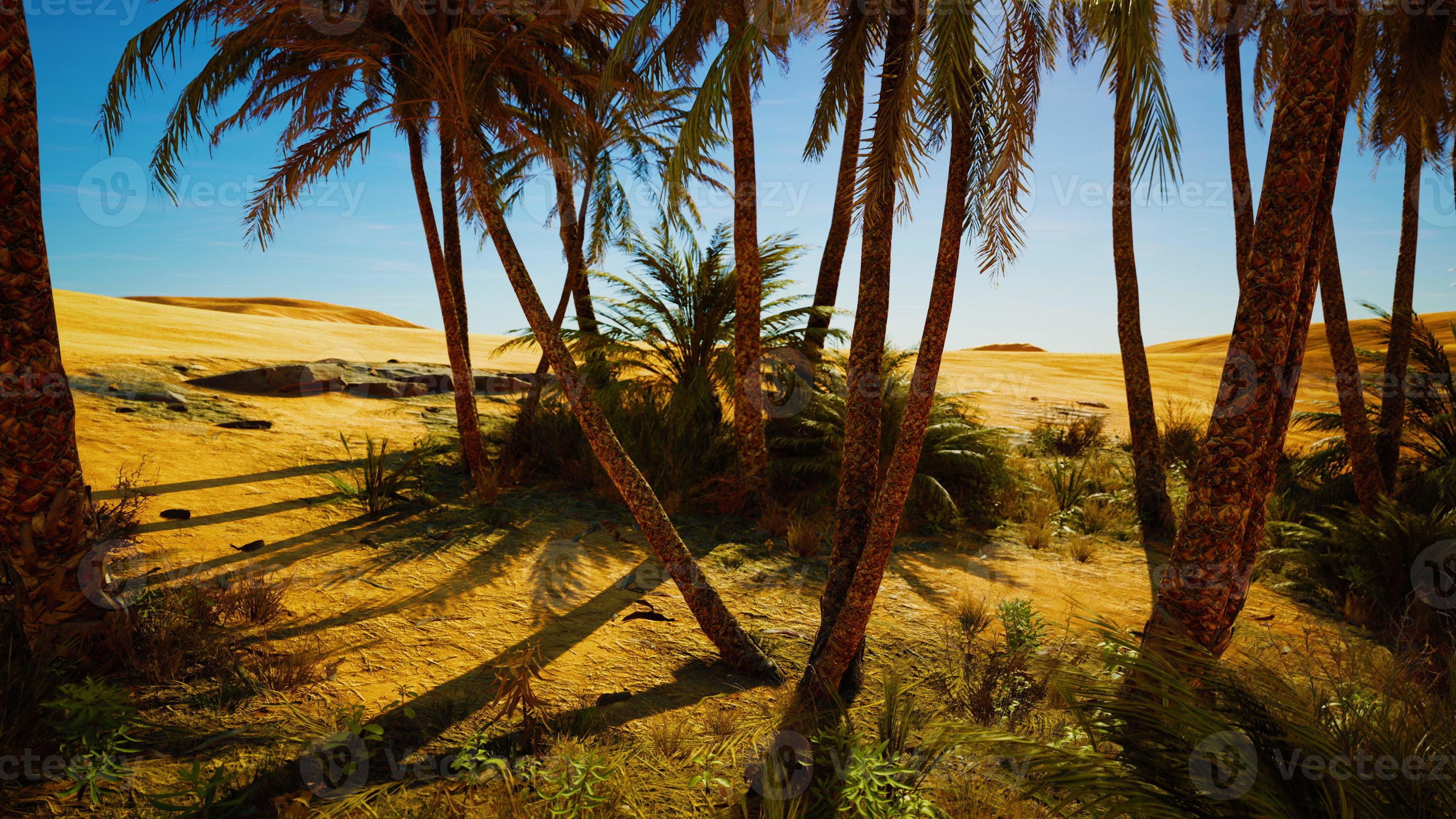 Palm Trees in the Sahara Desert 6680283 Stock Photo at Vecteezy
