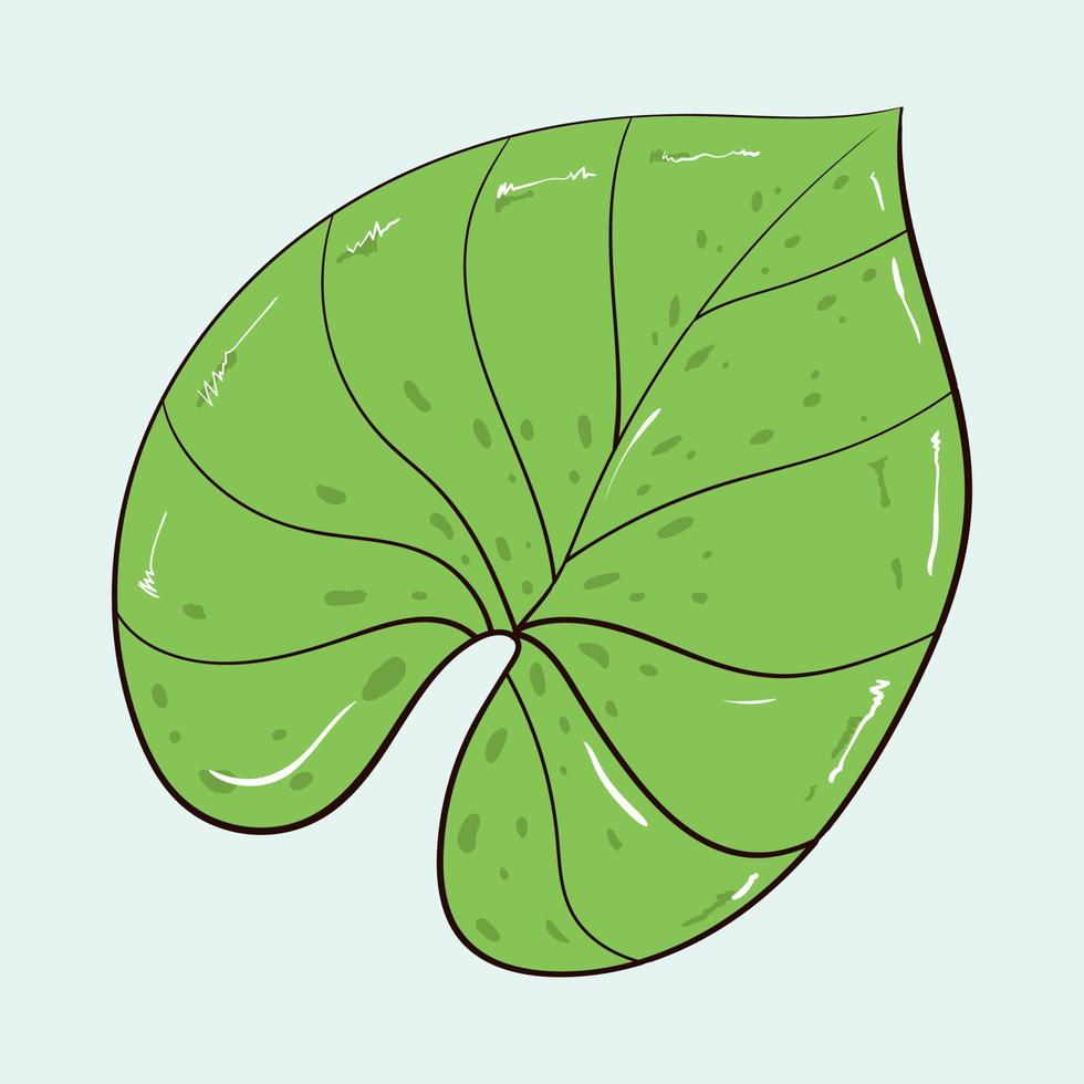 Vector illustration of a green leaf with highlights
