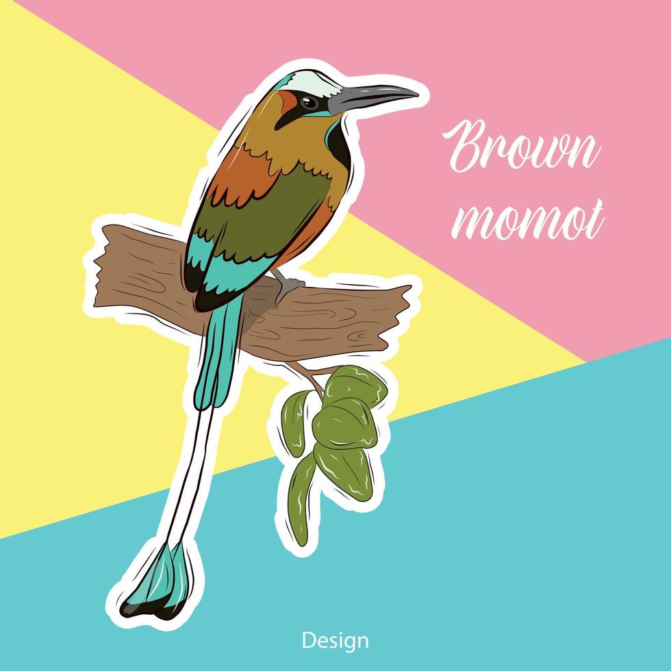 Vector postcard with a tropical bird on a bright background. Momot.