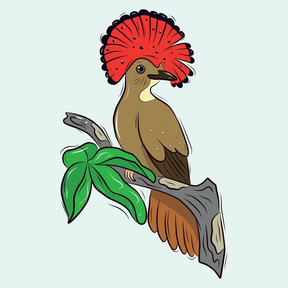 Vector template of a tropical bird on a branch. A fly-eating bird with a red tuft.