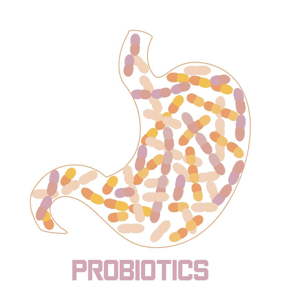 el estómago está recibiendo bacterias probióticas, lactobacillus. logotipo de atención médica, vector de concepto de soporte de inmunidad para pancarta, afiche, volante, sitio web. símbolo amarillo de leche útil