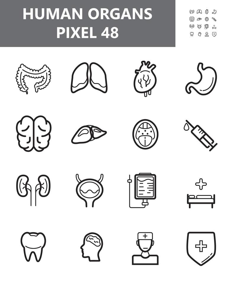 Human organs icon set vector. Throat, syringe, hospital are shown. Kidneys, liver, heart, intestine outline symbol for website in 48 pixel. Bladder, stomach, lungs illustration. vector
