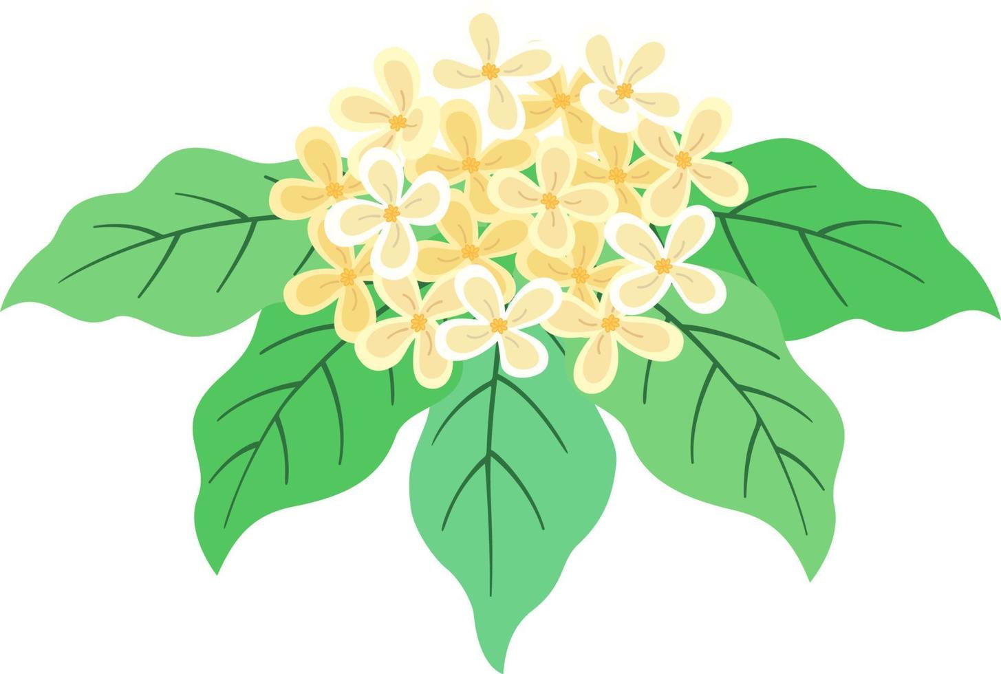 Many Laurel Flowers vector