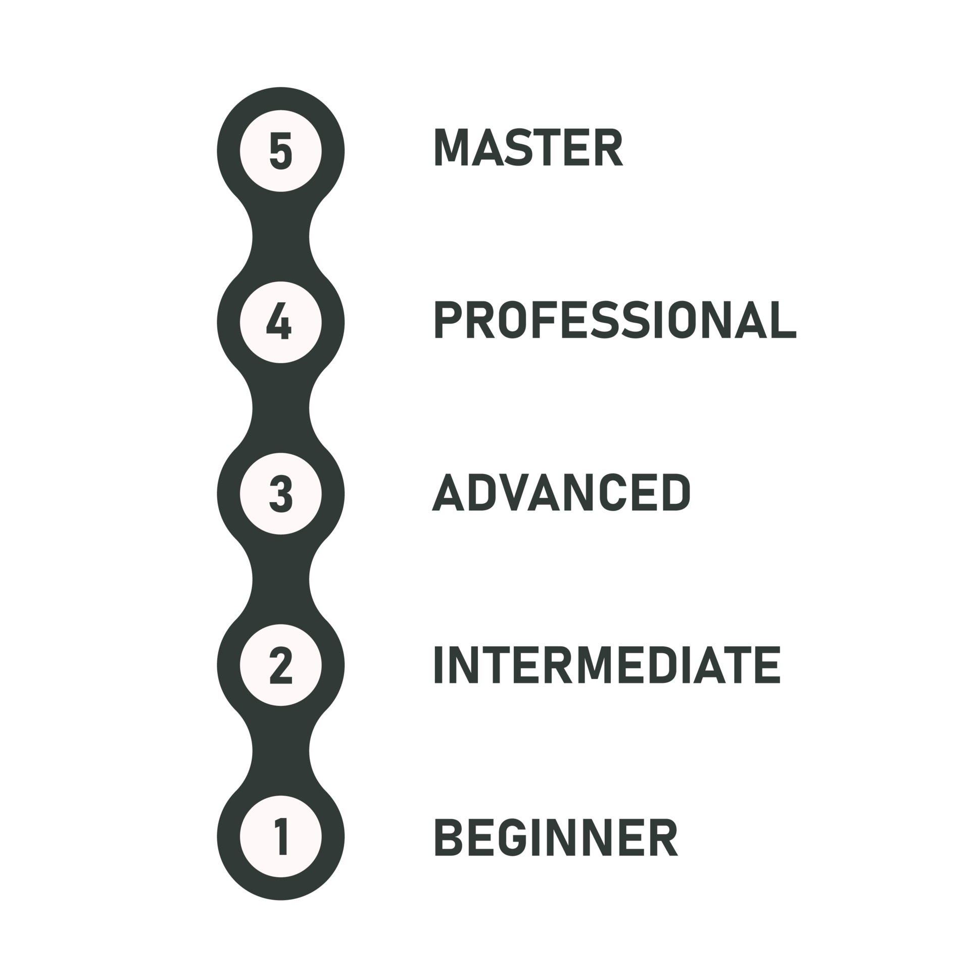 English proficiency.Skill level scale. Infographic Scheme. Growth