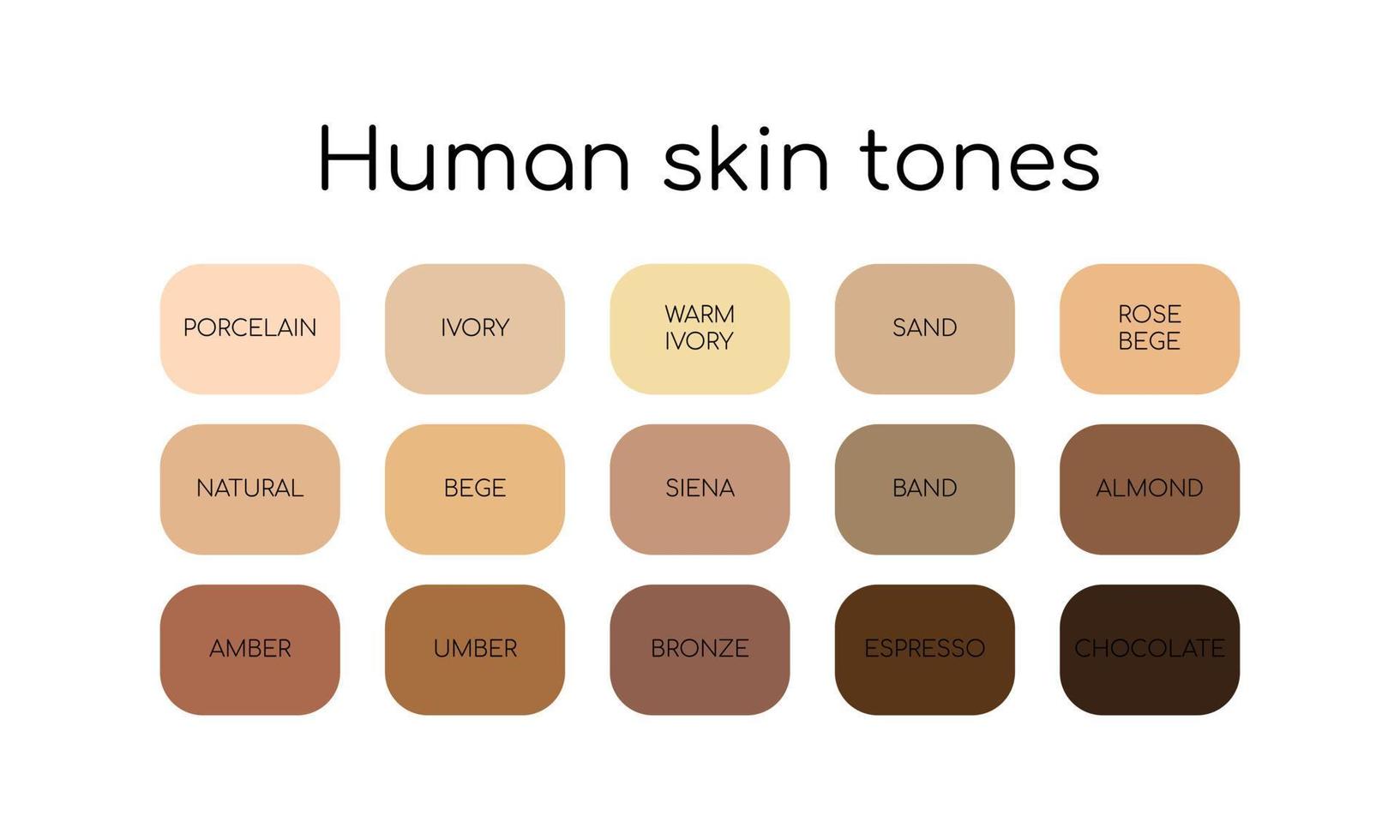 Paleta de tonos de piel por nombre. diferentes tipos de piel humana. conjunto de iconos planos. vector