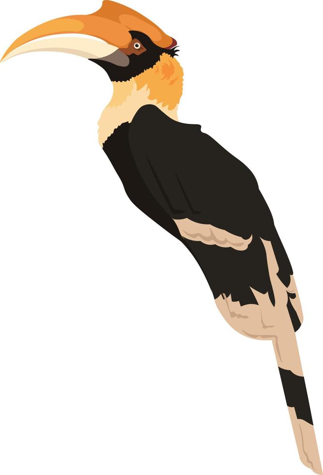 Greater Hornbill perched illustration vector