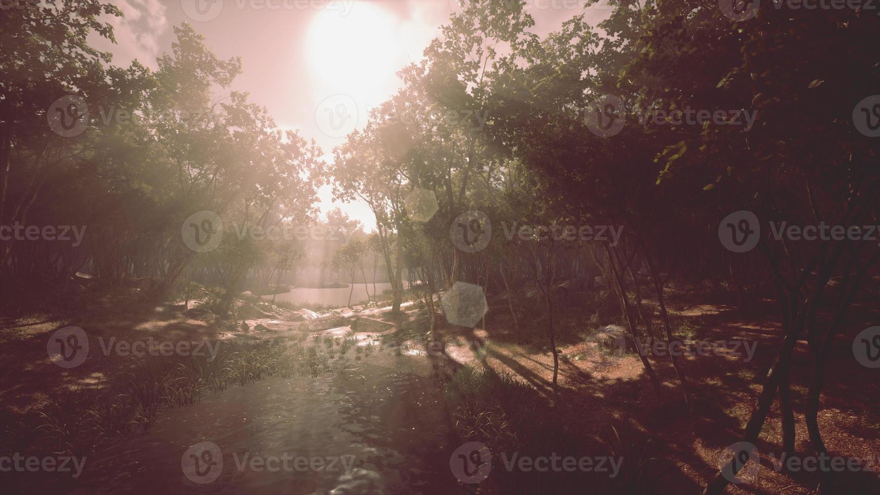 River in mysterious forest with fog photo