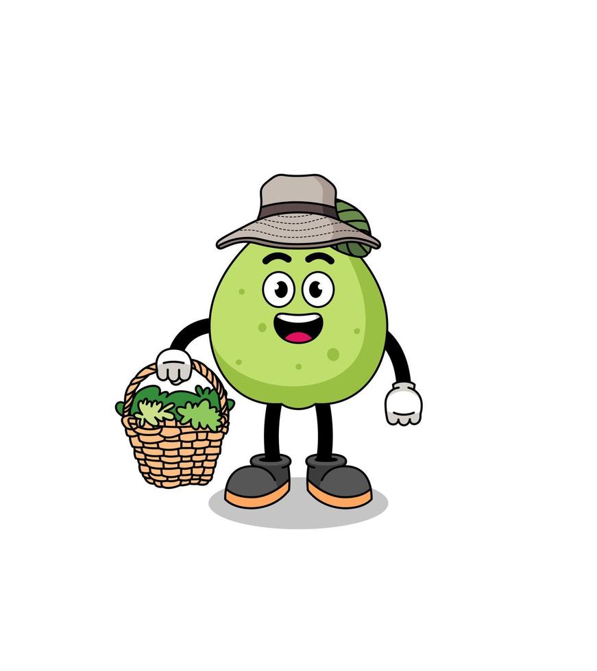 ilustración de personaje de guayaba como herbolario vector