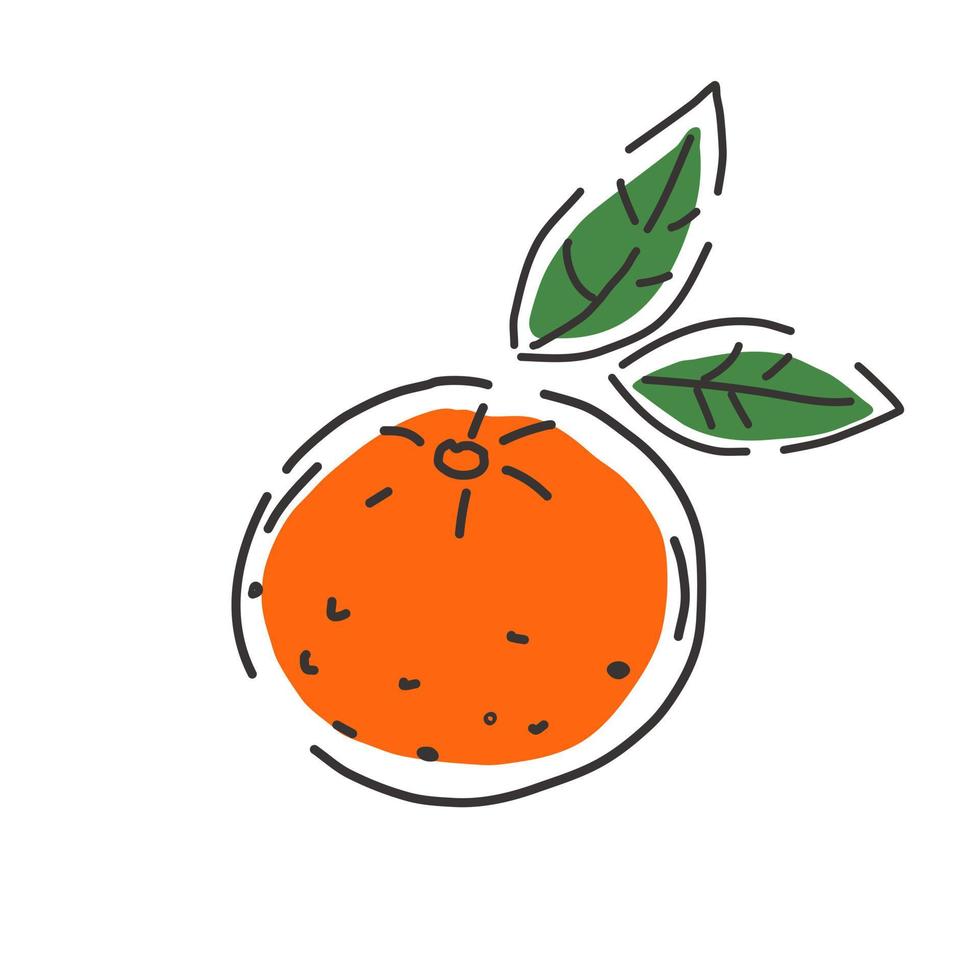 Juicy mandarine  on a white background. Fruit. Contour drawing. Icon. Vector illustration.