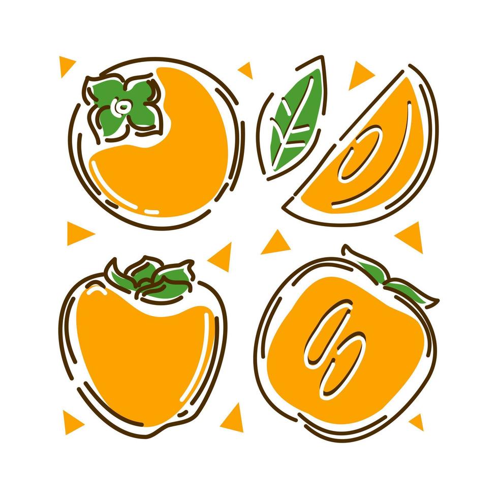 Persimmon set on a white background. Abstract. Vector illustration.