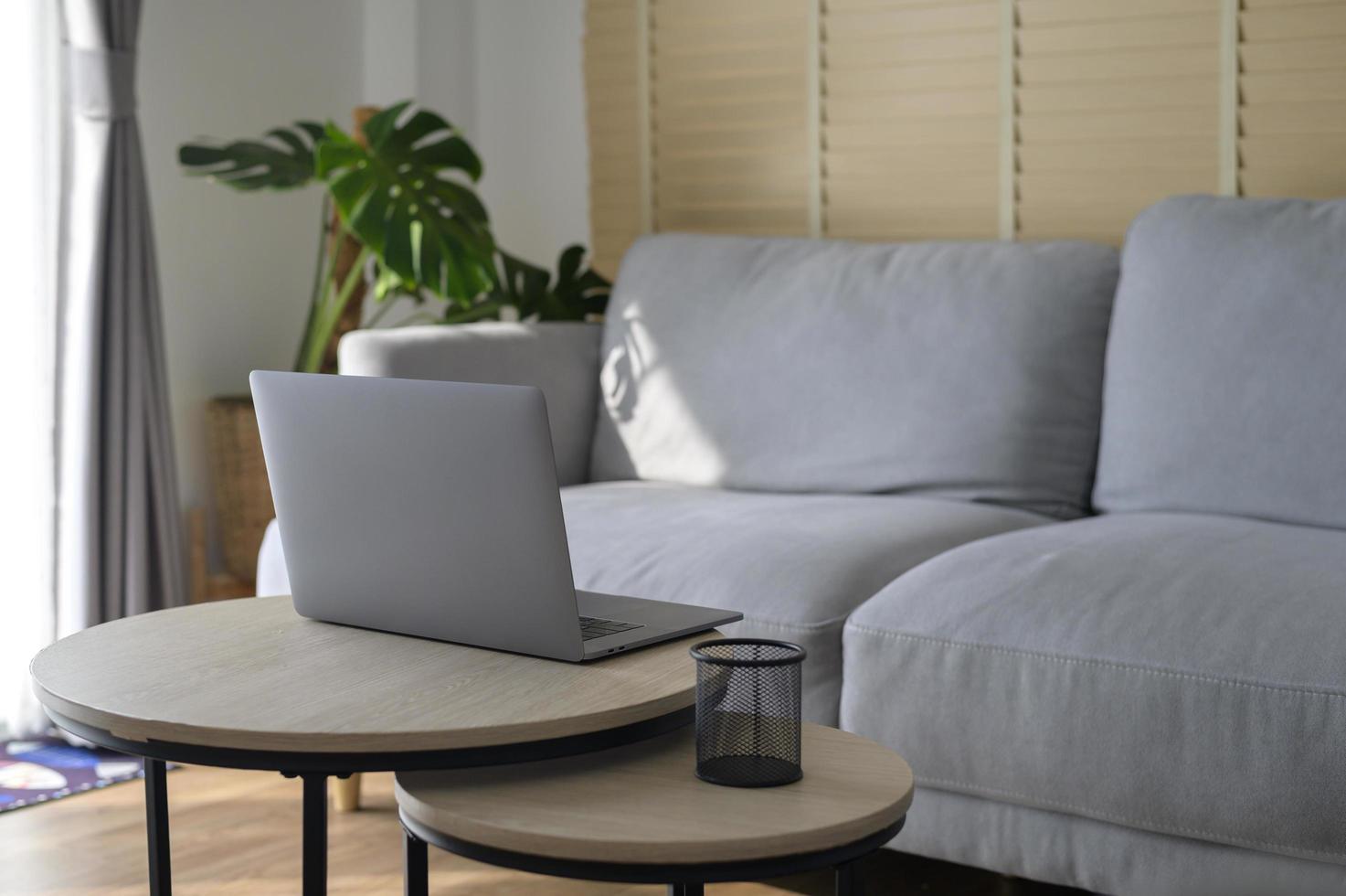 Background of modern living room with houseplant photo