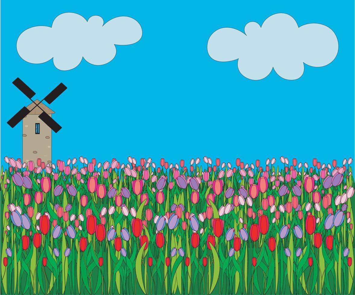 a beautiful warm and bright spring-summer landscape of a blooming field with tulips and a mill, like in Holland vector