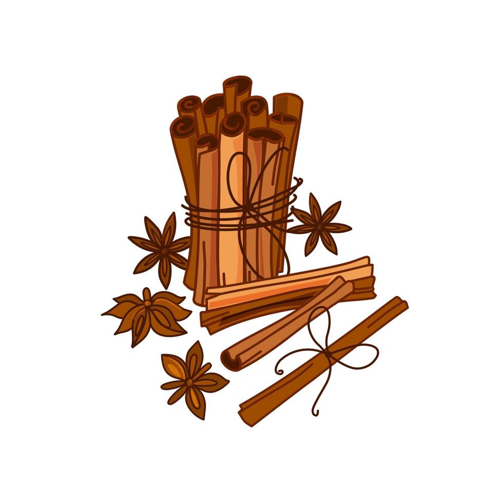 Cinnamon sticks on a white background. Aromatic spice. Seasoning for dishes. Culinary theme. Vector design.