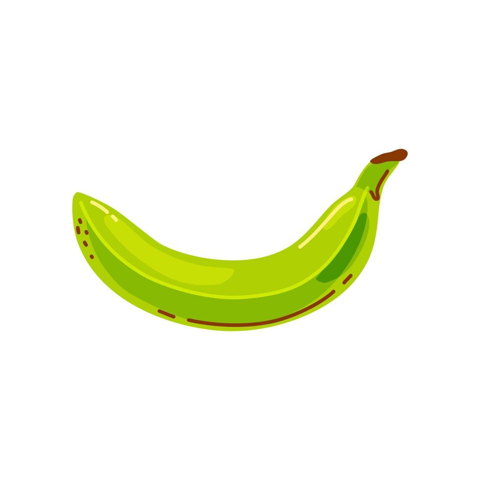 Green banana on a white background. Vector cartoon illustration.