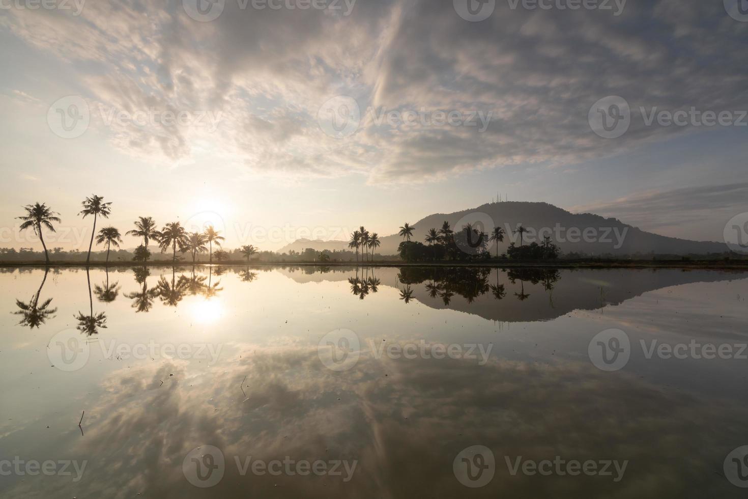 hermosa mañana nublada nube amanecer sobre hilera de cocoteros foto