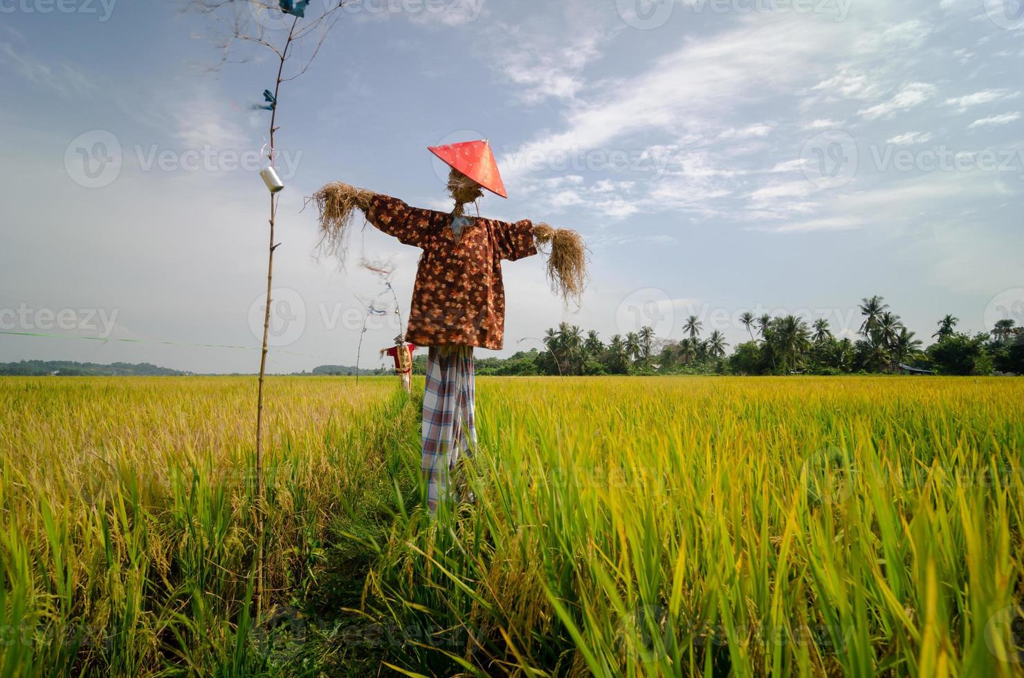 Scarecrows wear Malays traditional costume photo