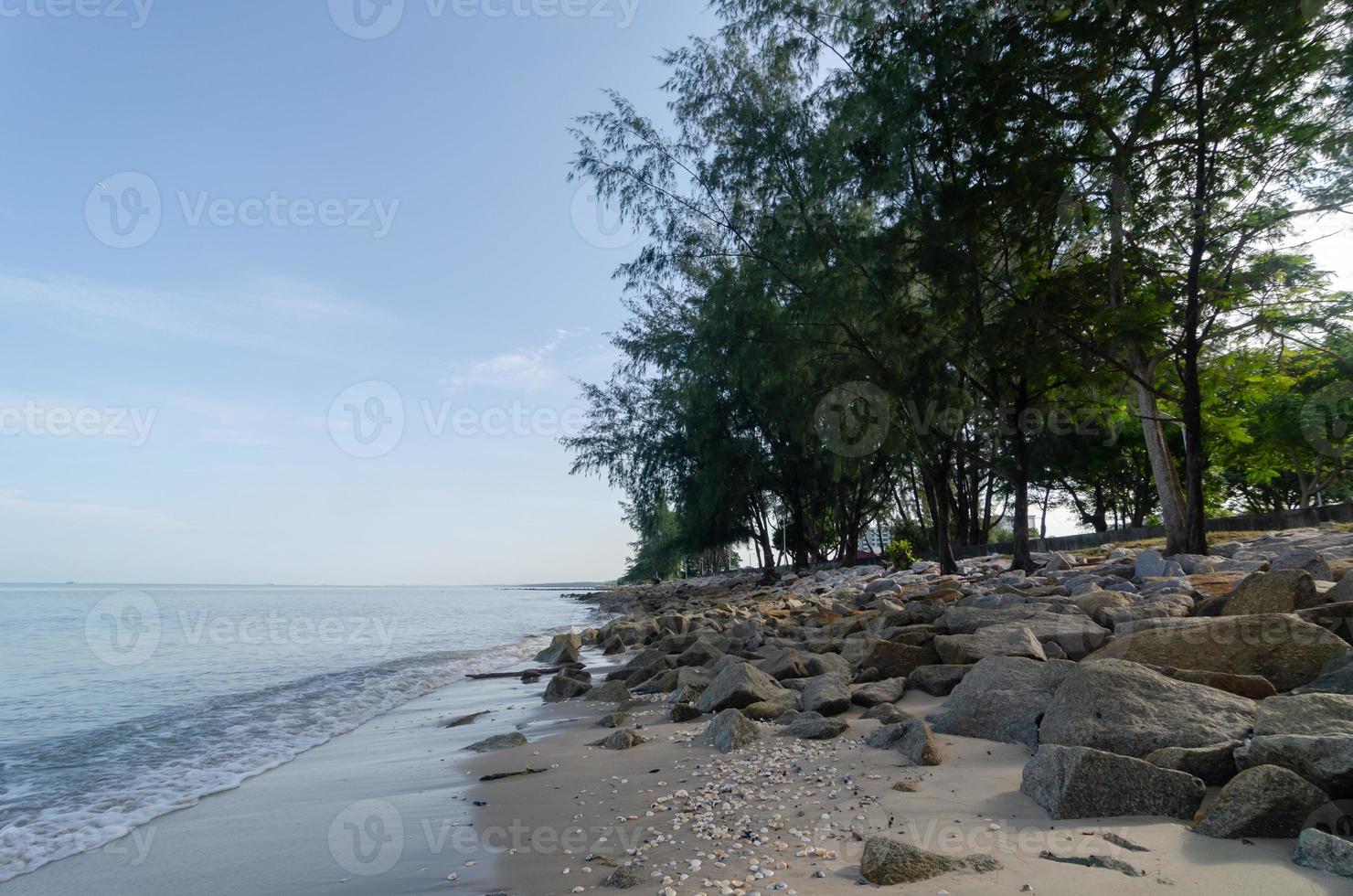 Sea coastal with rock and tree photo