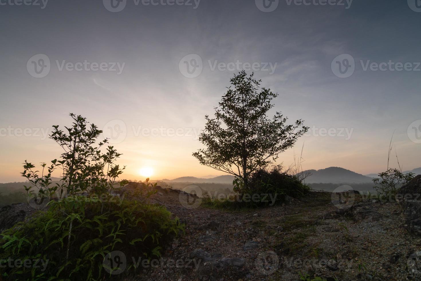 Silhouette of tree at hill photo