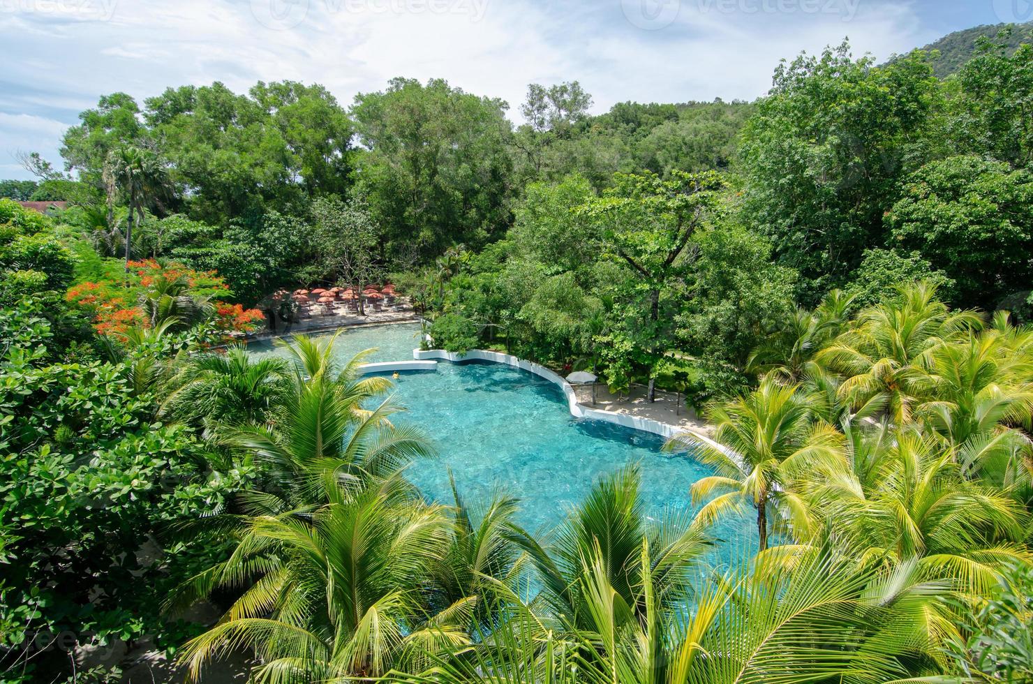 piscina del parque temático de escape en árbol verde. foto