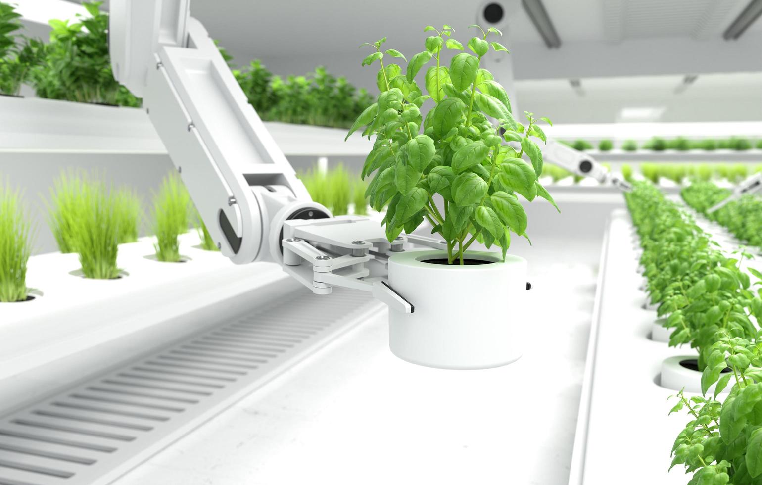 Smart robotic farmers concept, Robot arm picking up organic vegetables. photo