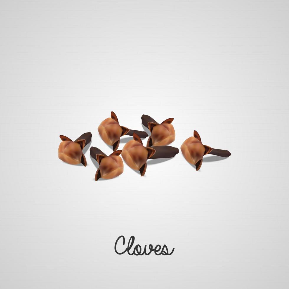 Dry cloves on white background.Vector illustration vector