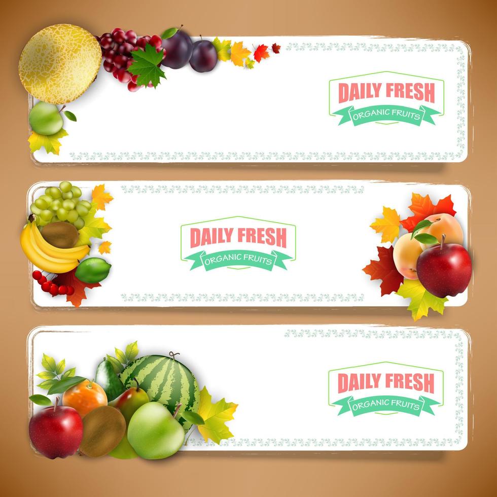 banners de frutas orgánicas con hojas de otoño.vector vector