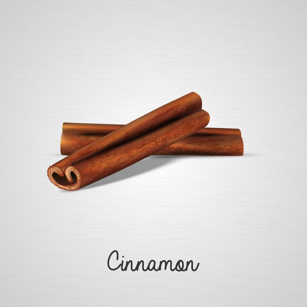 palitos de canela sobre fondo blanco.ilustración vectorial vector