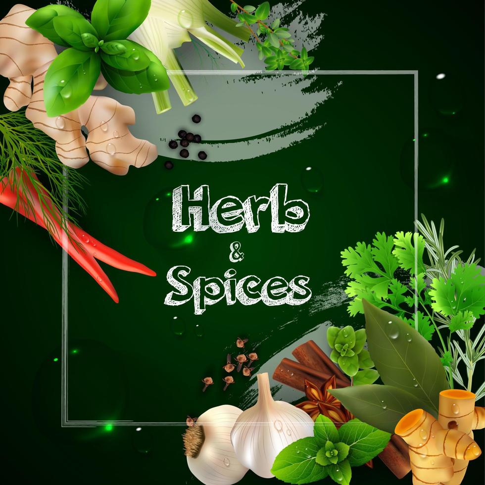 Spices and herbs on the green background.Vector illustration vector