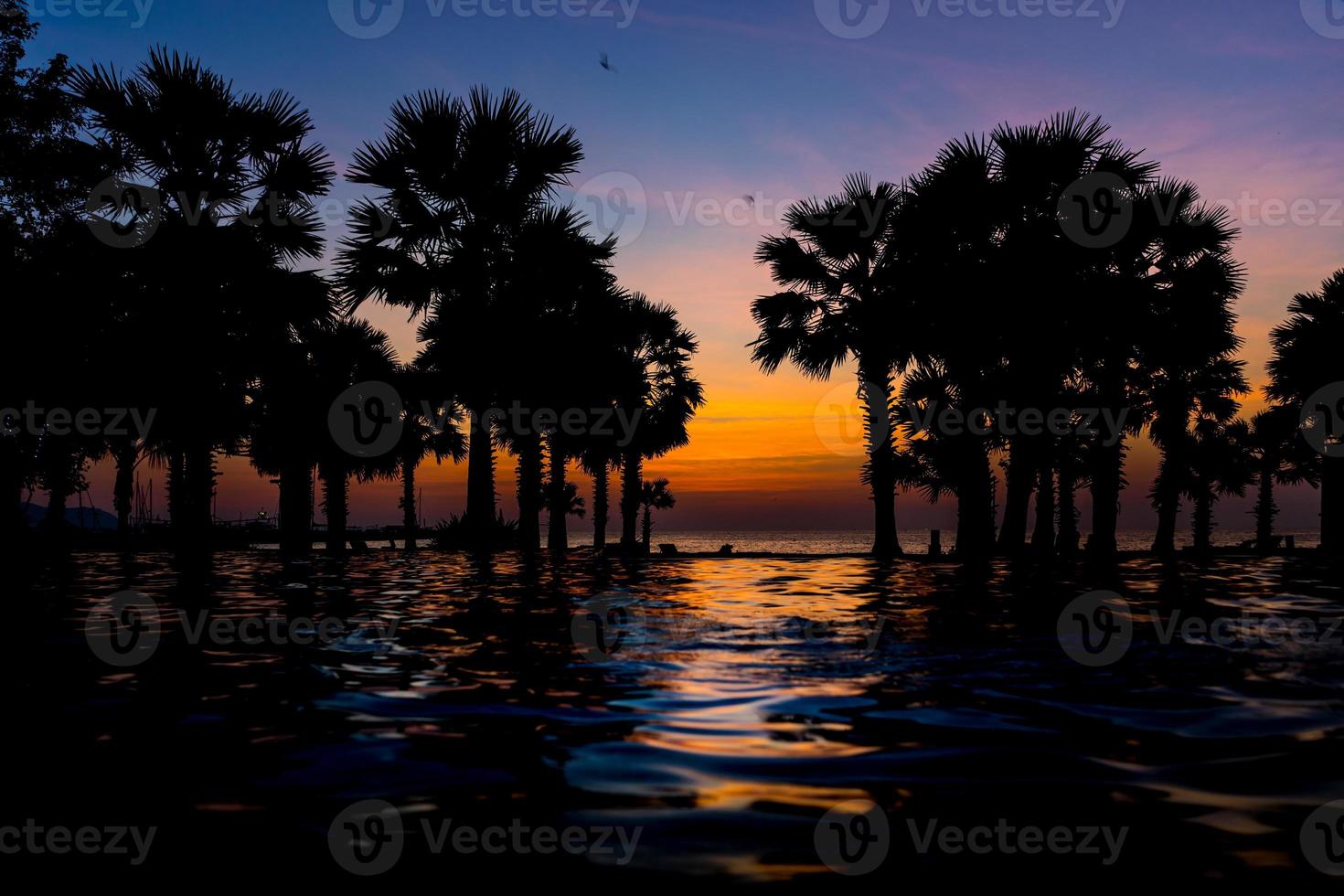 Beautiful Sunset at seaside with palm trees, water reflection. selective focus photo