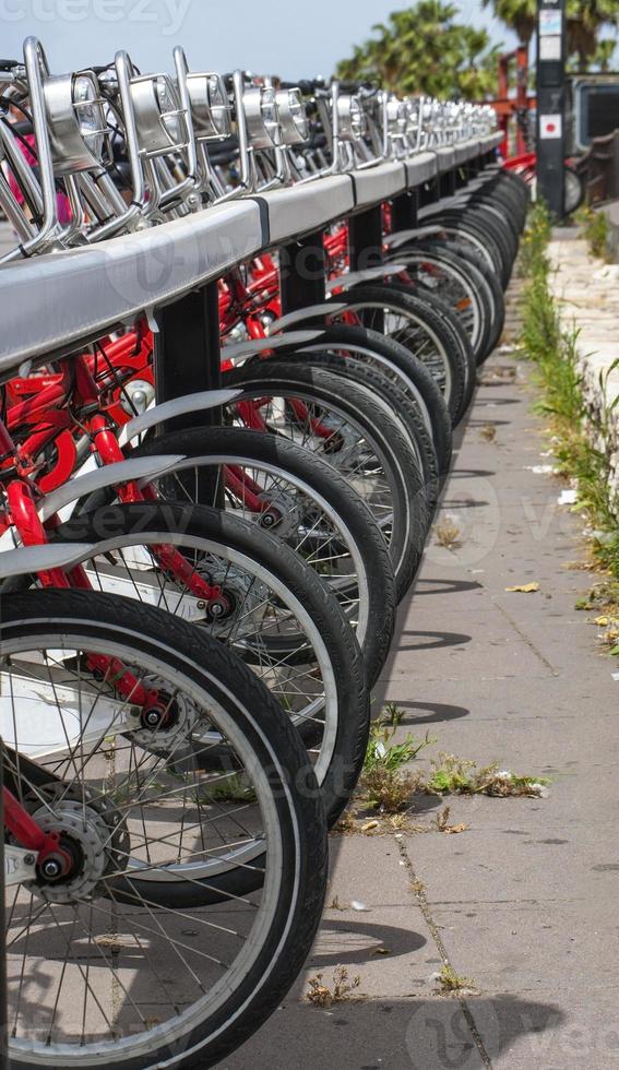 row of bikes photo