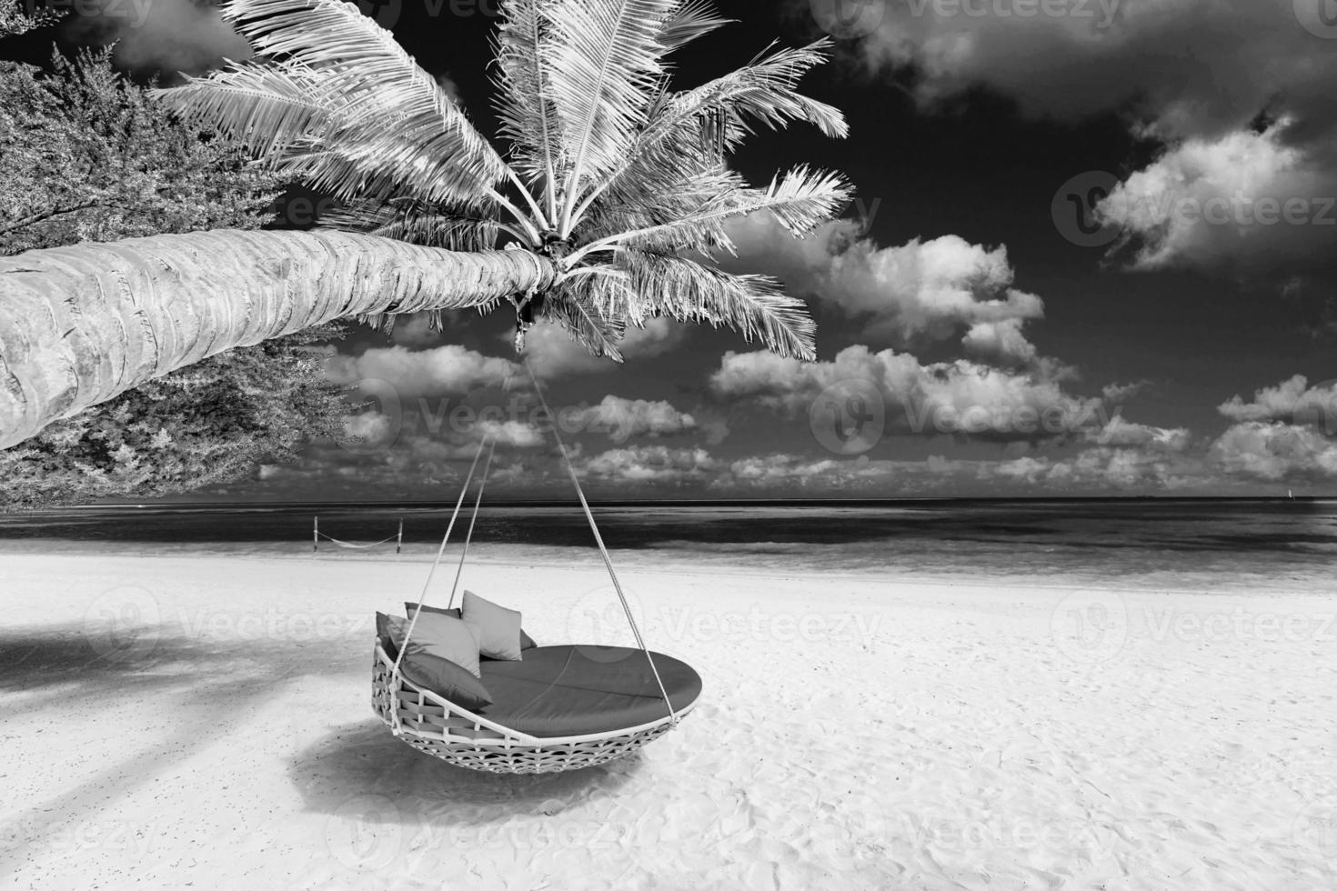 Dramatic summer beach landscape. Luxury vacation holiday concept, summer travel black and white. Panoramic landscape, palm tree swing, dark monochrome sky paradise island view. Fine art beach photo