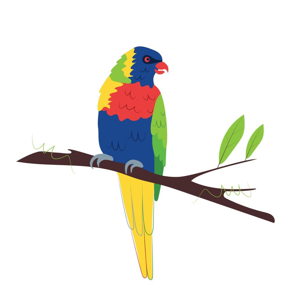 Rainbow Lorikeet is sitting on a branch vector