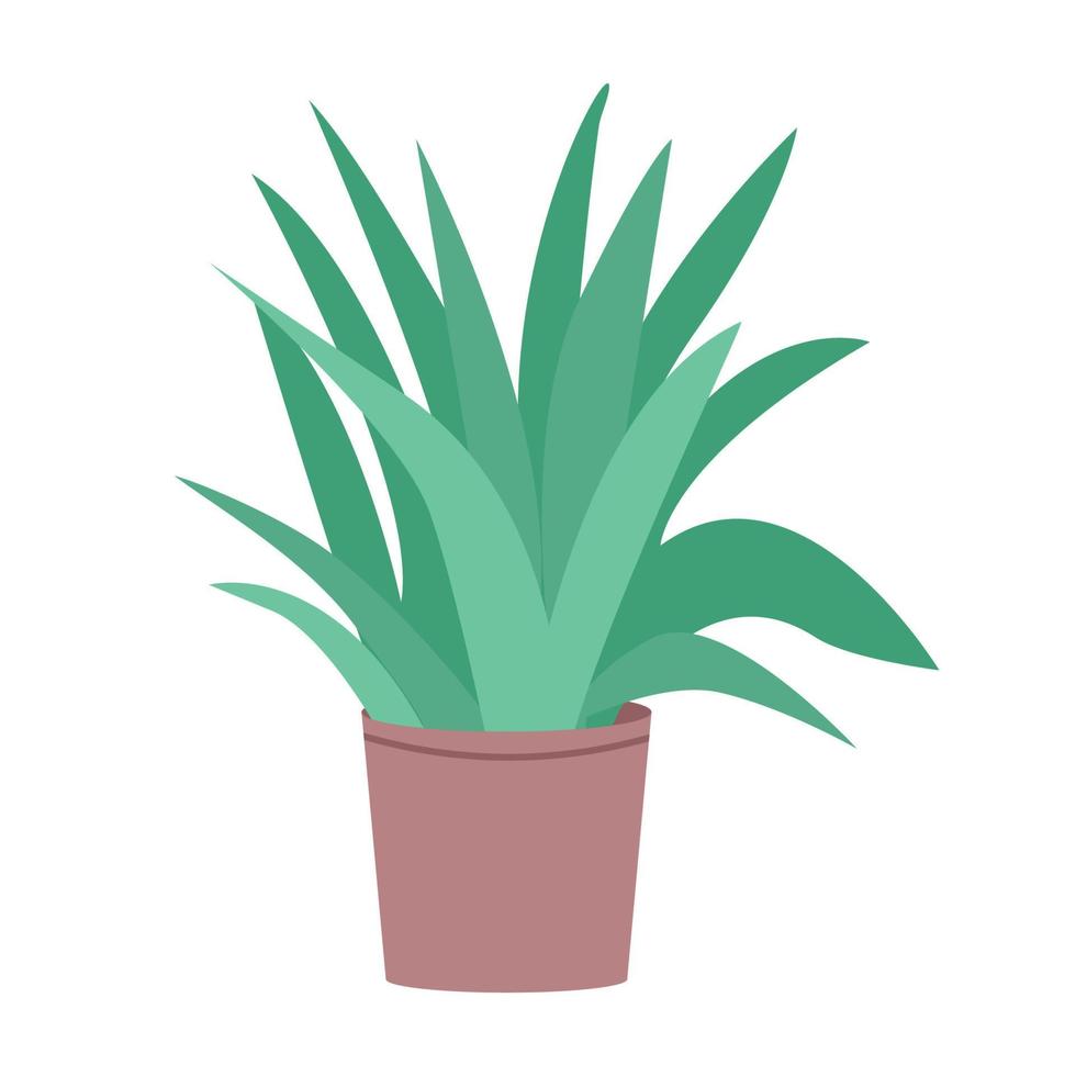 Aloe vera plant in pot semi flat color vector object