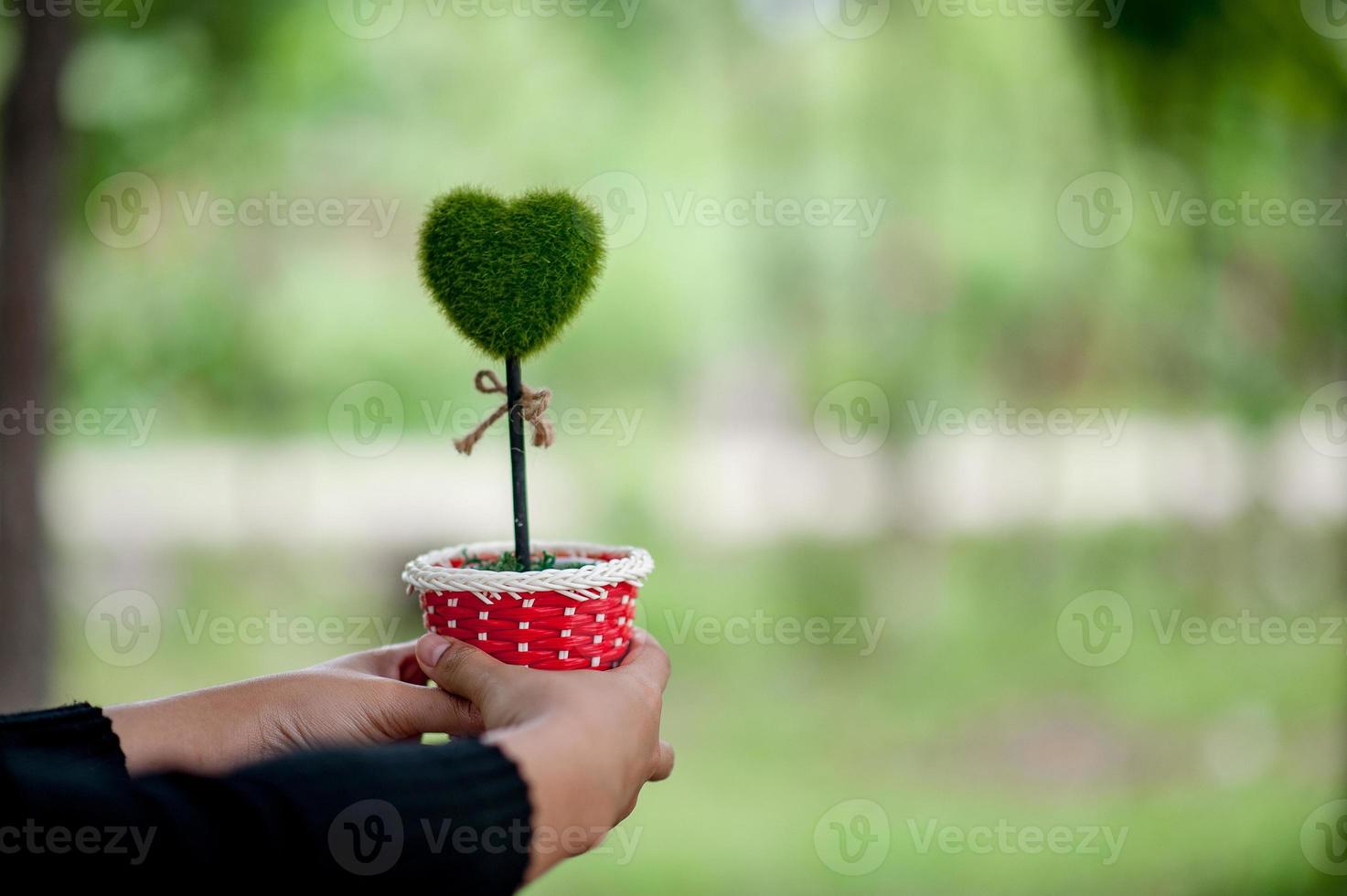 Beautiful green hand and heart images Valentines Day concept With copy space photo