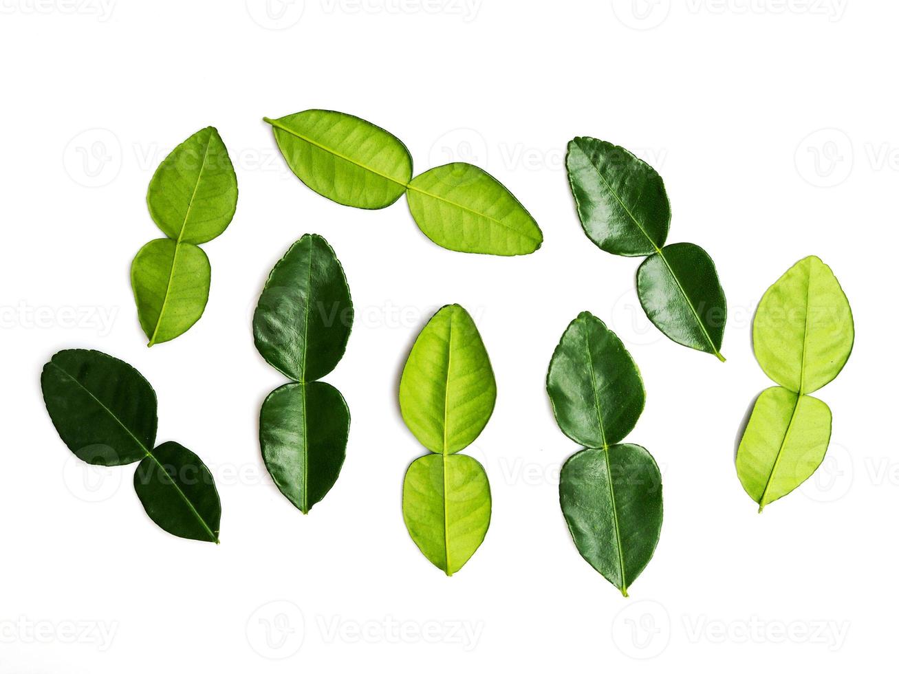 Kaffir lime leaves fresh bergamot leaf isolated on white background. photo