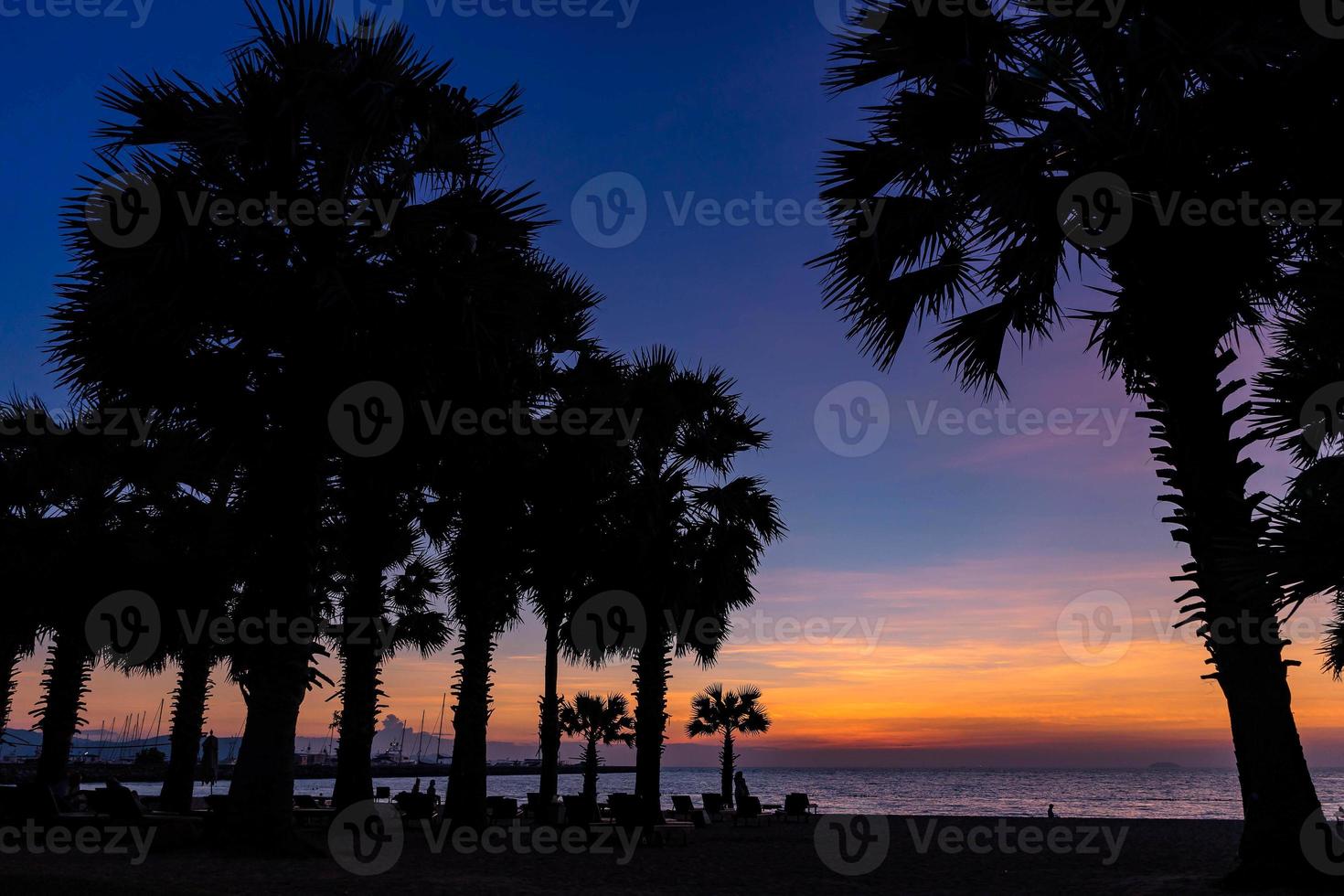 hermosa puesta de sol en la playa con palmeras, reflejo de agua. enfoque selectivo foto