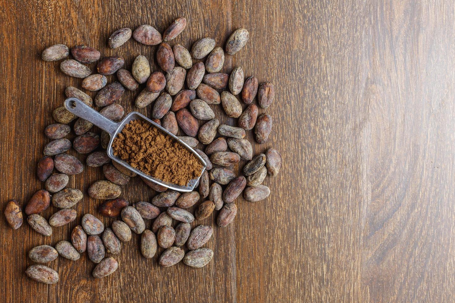 Cocoa powder and cocoa bean on wooden table photo