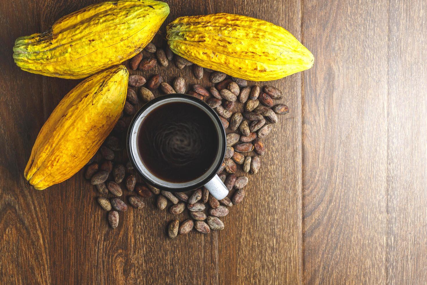 Hot cocoa drink or chocolate drink with cocoa powder and cocoa beans. photo