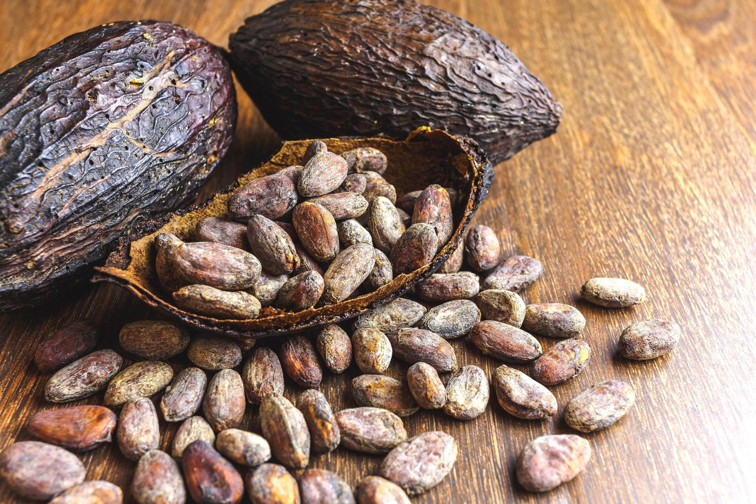 Cocoa powder and cocoa bean on wooden table photo