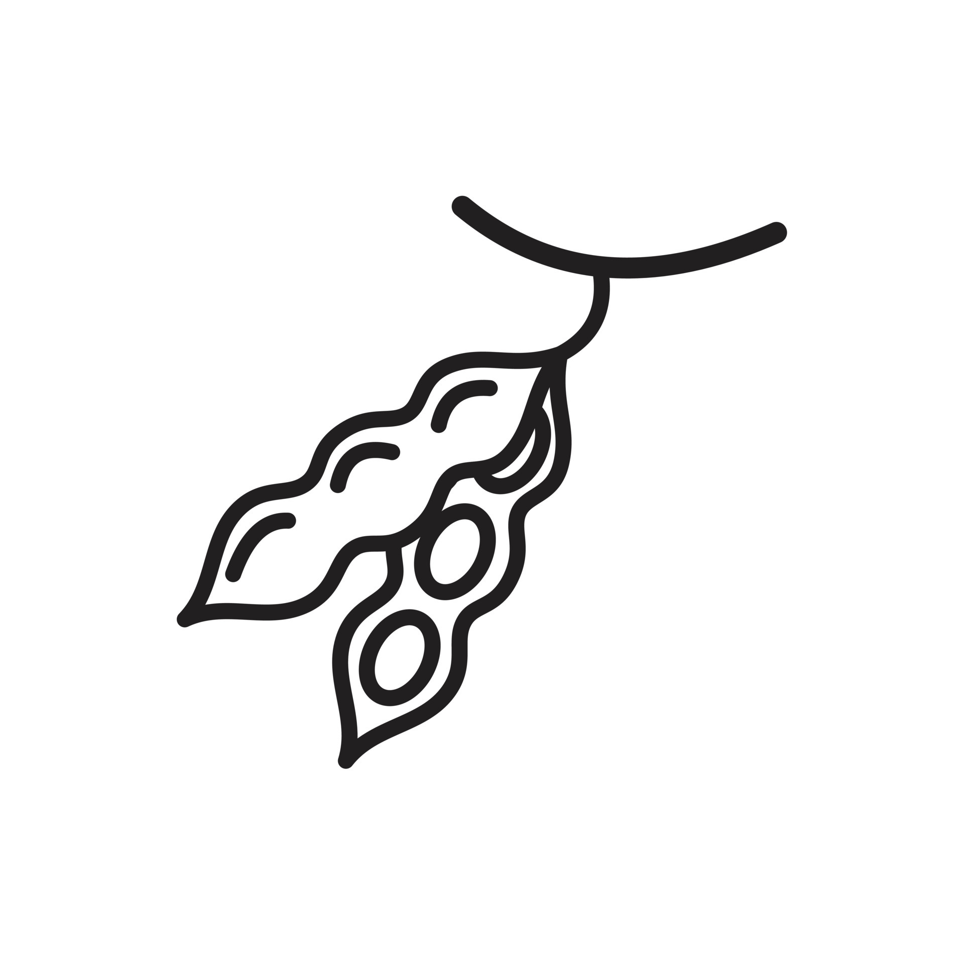 Soy beans, vector peas line Icon template black color editable. Soy