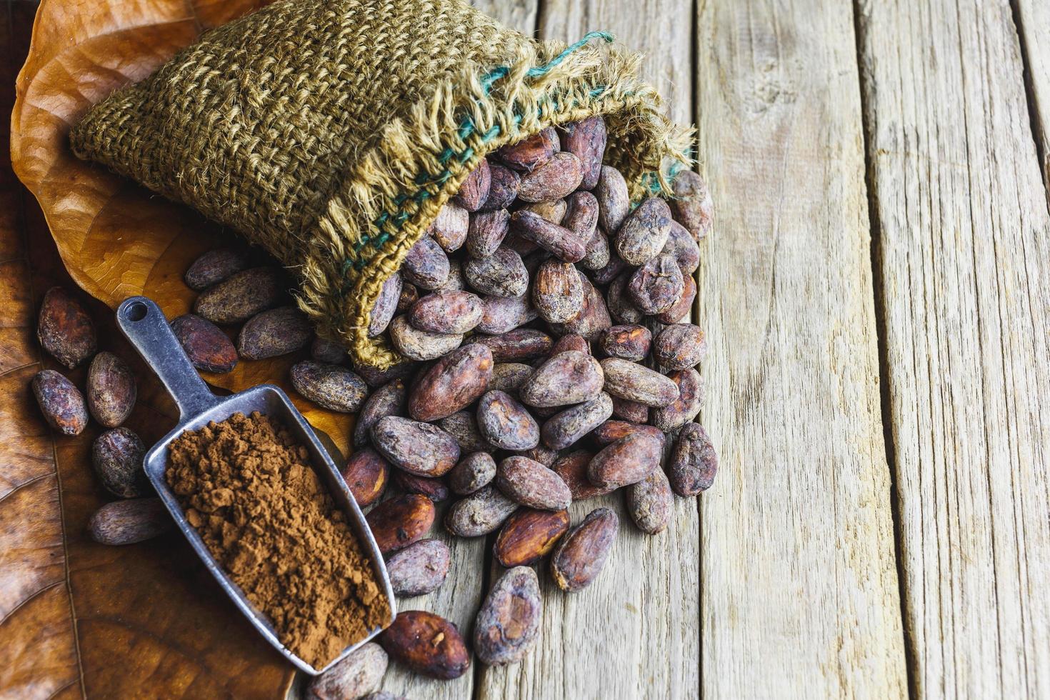 Cocoa powder and cocoa bean on wooden table photo