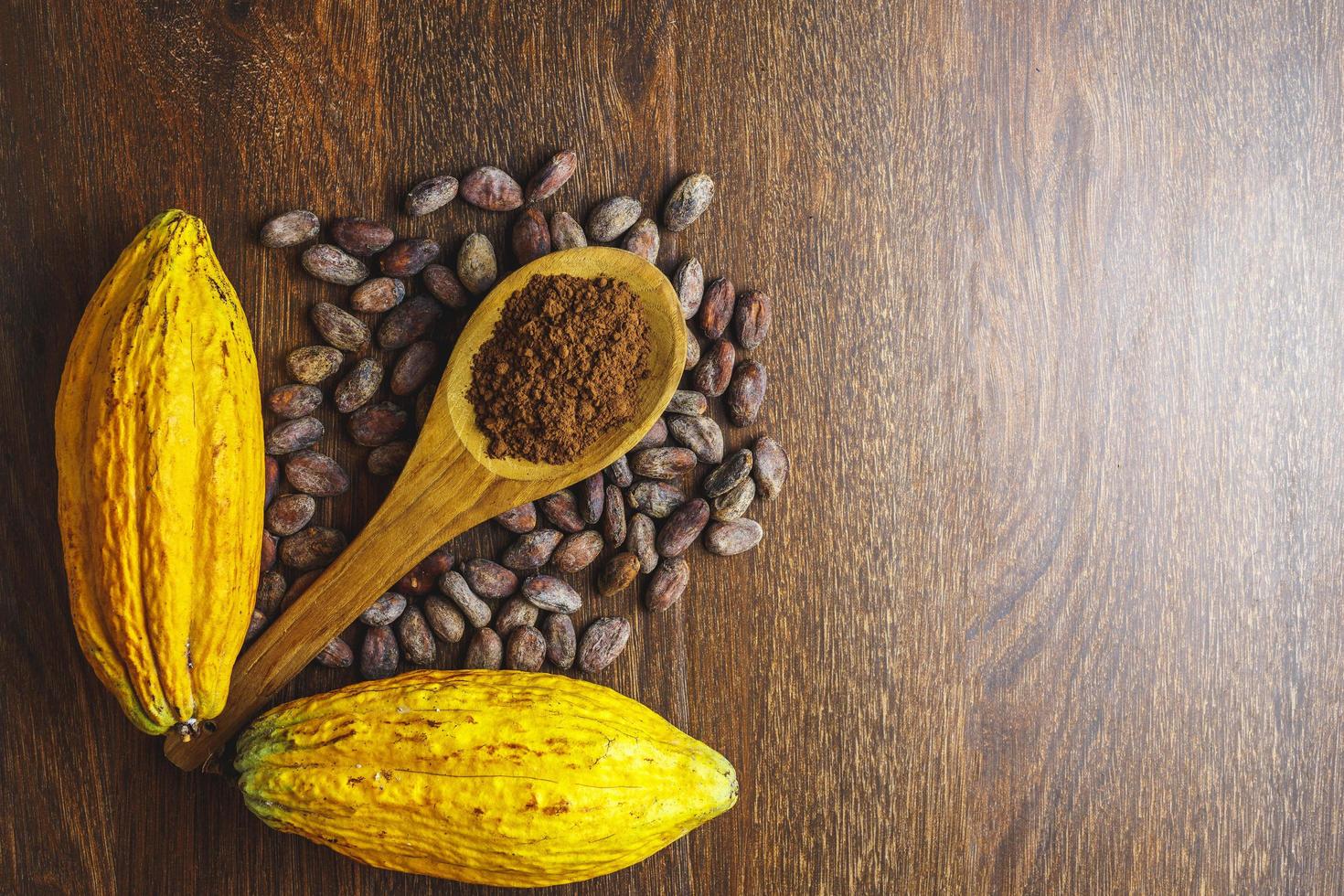 Cocoa powder and cocoa bean on wooden table photo
